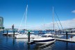 Gold Coast Boat Brokerage Business For Sale # 3260
