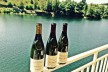 Uncorked & Cultivated Wine Tours Business for Sale #9247