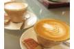 CBD Cafe/Coffee Shop