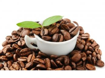 ** Organic Coffee, Organic Food ** – All Offers Will Be Considered – Ref: 2499