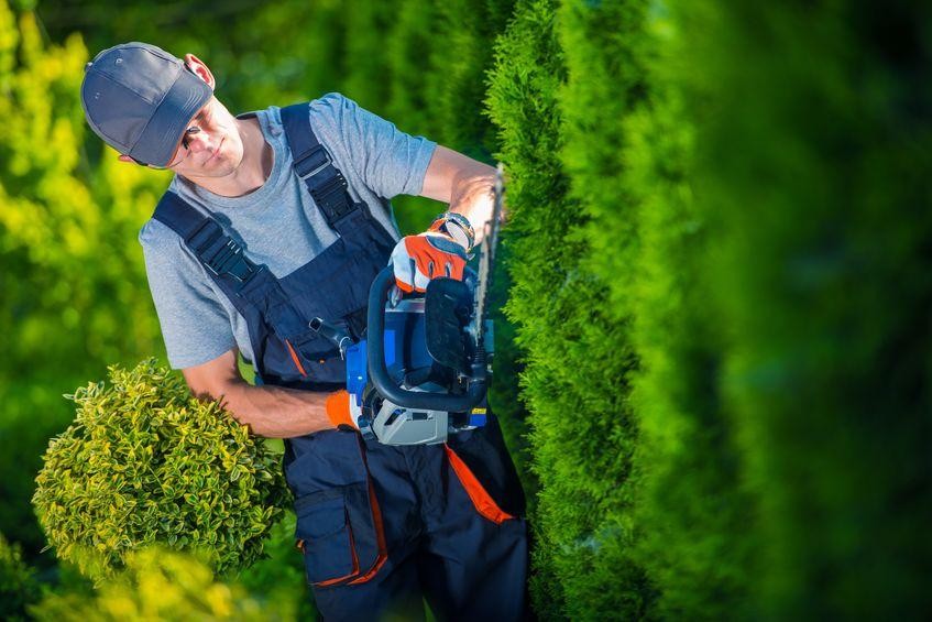 Commercial Garden Maintenance and Soft Landscaping Business for Sale - Ref: 2906 