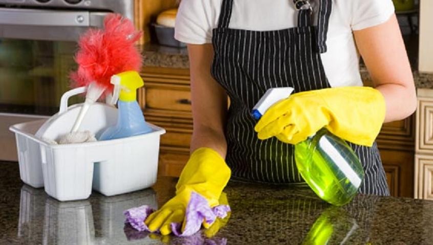 Professional Cleaning Services North Brisbane Business For Sale #3695