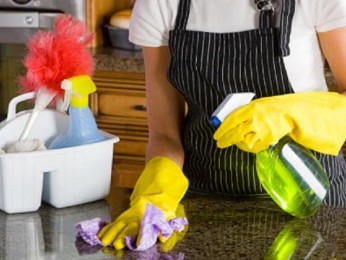 Professional Cleaning Services North Brisbane Business For Sale #3695